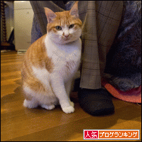 人気ブログランキングへ